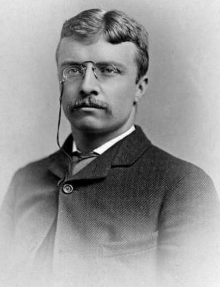 teddyrooseveltyoung