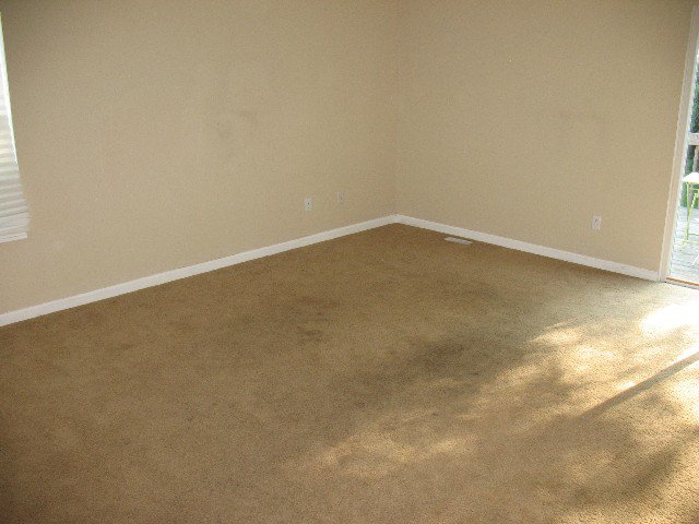 ickycarpet.jpg