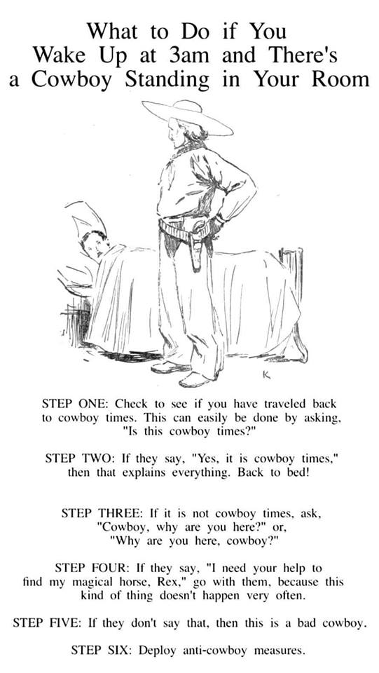 cowboymeme.jpg