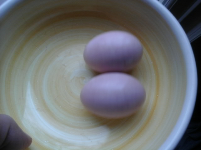 2019-04-18 11.44.05.jpg