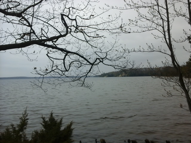 2019-05-18 14.23.31.jpg