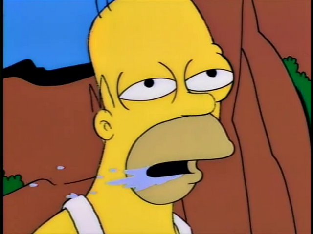 homerdrooling.jpg