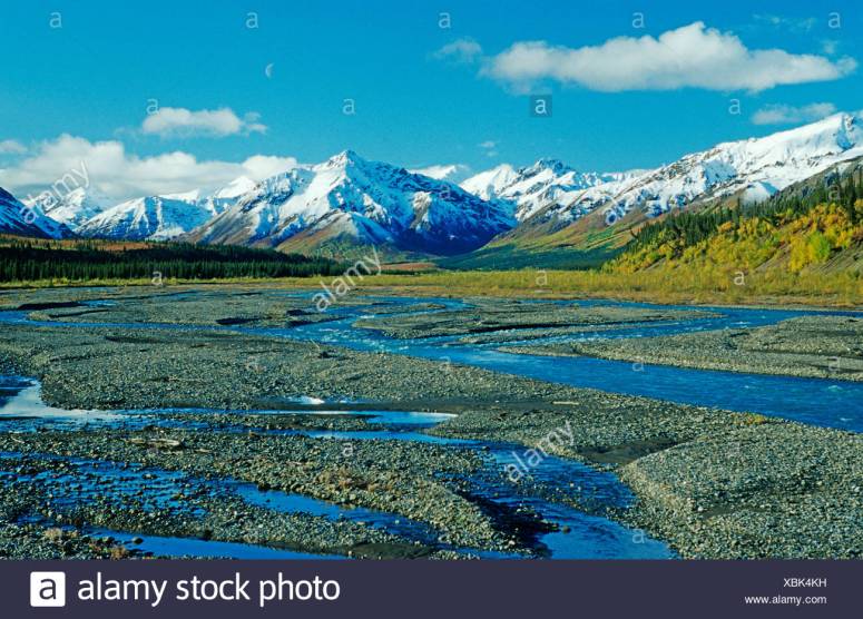 the-far-branching-teklanika-river-flowing-from-the-mountains-of-the-alaska-range-denali-national-park-alaska-usa-XBK4KH.jpg