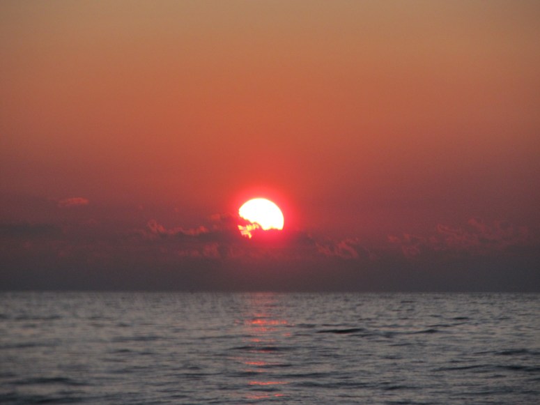 IMG_0115.JPG