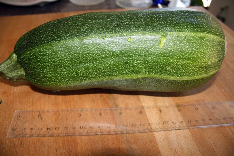 zucchini01-1.5kg.jpg
