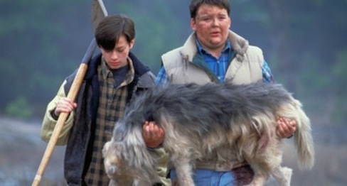 petsematary2