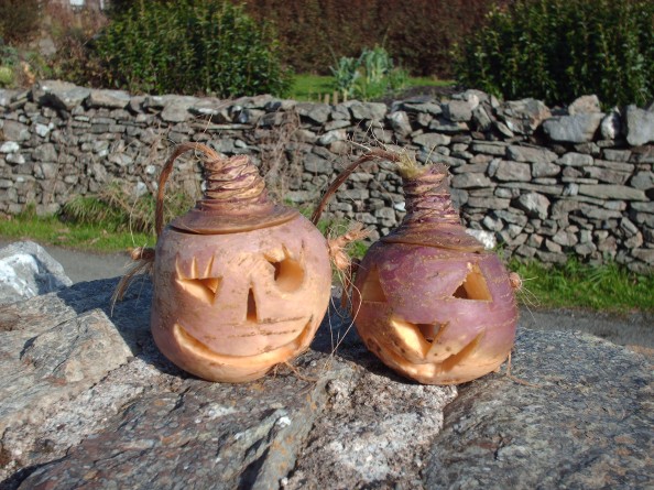All-about-Halloween-in-Ireland-Easy-Science-for-Kids-Carved-Turnips-for-Halloween-in-Ireland