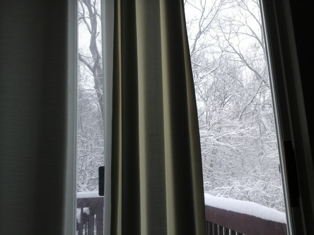 winterscenefeb262020