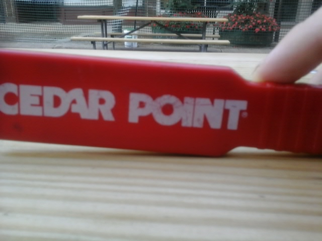 hairbrushcedarpoint1