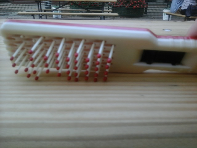 hairbrushcedarpoint2